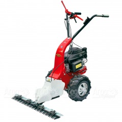 Бензиновая сенокосилка Eurosystems Minieffe 502 RM B&#38;S 625EXi в Костроме