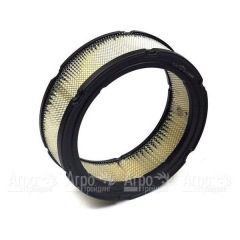 Воздушный фильтр Briggs&Stratton 00002 в Костроме