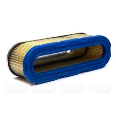 Воздушный фильтр Briggs&Stratton 00006 в Костроме