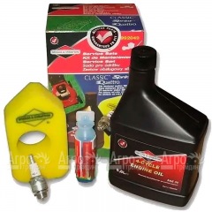 Набор для техобслуживания двигателей Briggs&#38;Stratton Classic, Sprint 992049 в Костроме