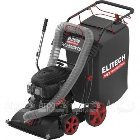 Пылесос садовый бензиновый Elitech HD GV 2958WTS (E1608.008.00) в Костроме