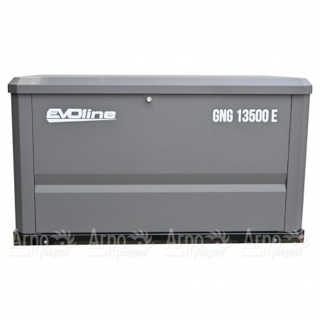 Газовый генератор EVOline GNG 13500 E 12 кВт в Костроме