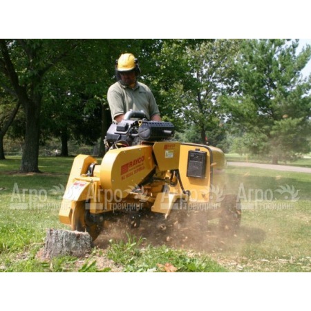 Измельчитель пней Rayco Super RG 50 в Костроме