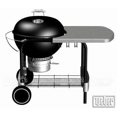 Гриль барбекю One-Touch® Platinum Black в Костроме
