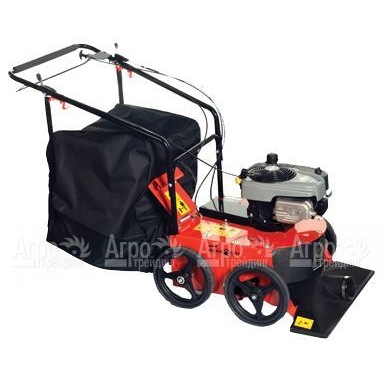 Садовый пылесос Echo Bear Cat WV190 в Костроме