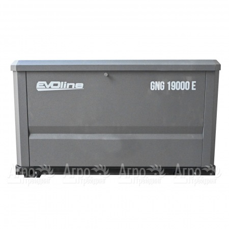 Газовый генератор EVOline GNG 19000 E 16 кВт в Костроме