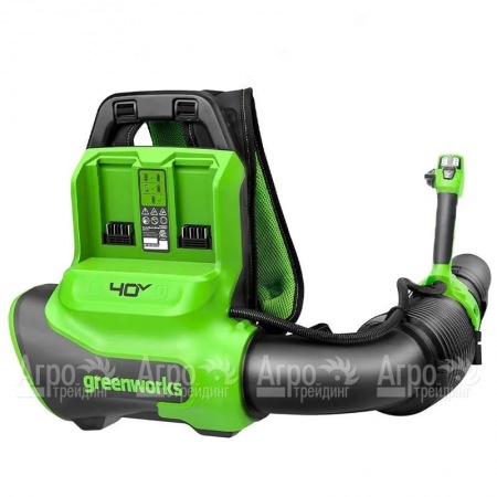Воздуходувка аккумуляторная GreenWorks GD40BPG2  в Костроме