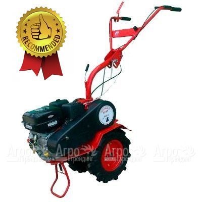 Мотоблок Агат БС-6.5 с двигателем Briggs&#38;Stratton RS 6.5 л.с. (фрезы в комплекте) в Костроме