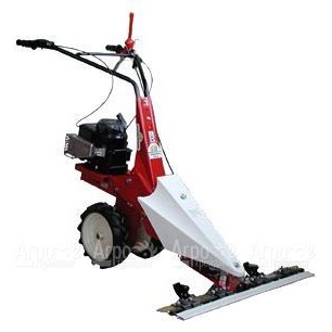 Бензиновая сенокосилка Eurosystems Minieffe 352 RM B&#38;S 625 Series в Костроме
