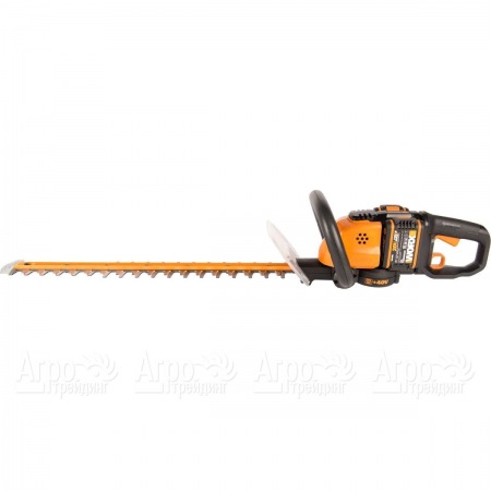 Кусторез аккумуляторный Worx WG284E.1 в Костроме