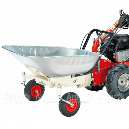 Оцинкованная тачка для Eurosystems P 70 в Костроме