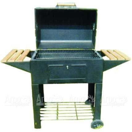 Гриль-барбекю Green Glade YD-Garden Grill в Костроме