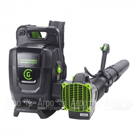 Воздуходувка аккумуляторная GreenWorks 2407207 (без батареи и зарядного устройства)  в Костроме