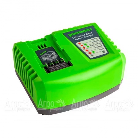 Быстрое зарядное устройство Greenworks G40UC4  в Костроме
