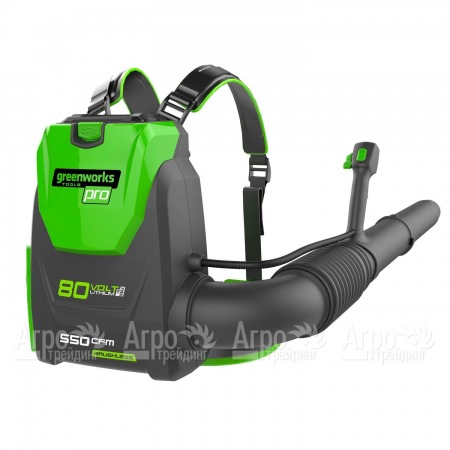 Воздуходувка аккумуляторная GreenWorks GD80BPB (без батареи и зарядного устройства)  в Костроме
