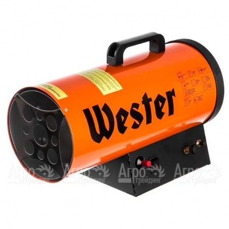 Газовая тепловая пушка Wester TG-20 в Костроме