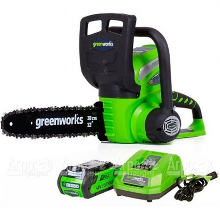 Аккумуляторная пила GreenWorks G40CS30II-12" 2 Ач в Костроме