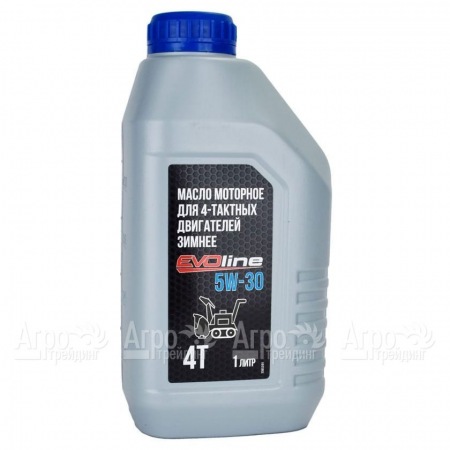 Масло моторное EVOline SAE 5W-30 API SN/CF 1 л для 4-х тактных двигателей в Костроме