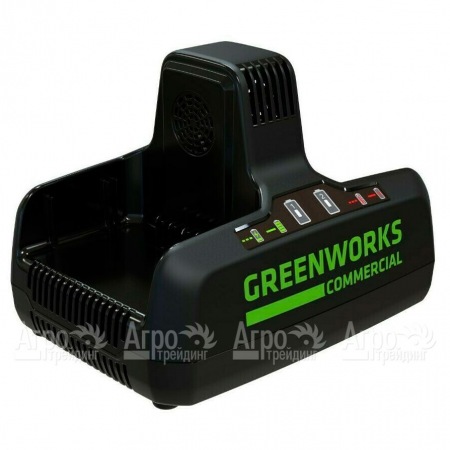 Быстрое зарядное устройство GreenWorks G82C2  в Костроме