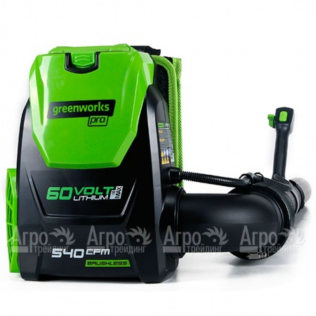 Воздуходувка аккумуляторная GreenWorks GD60BPB (без батареи и зарядного устройства)  в Костроме
