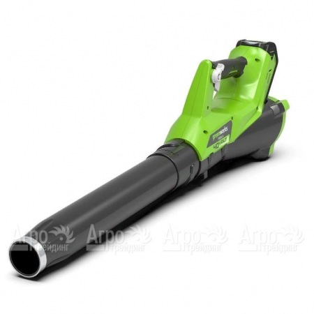 Воздуходувка аккумуляторная GreenWorks G40ABK3  в Костроме