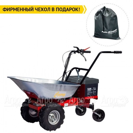 Самоходная тележка Eurosystems Carry Electric 300W-24V в Костроме