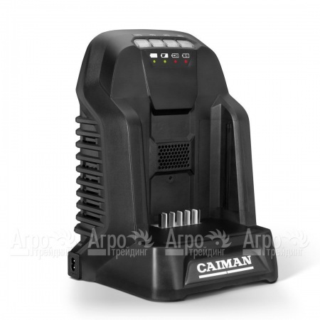 Зарядное устройство для газонокосилки Caiman Nero в Костроме