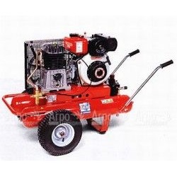 Компрессор дизельный Agri 55 Diesel в Костроме
