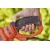 Электрический кусторез (электрокусторез) Black+Decker BEHTS551 в Костроме