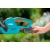 Аккумуляторный кусторез Gardena EasyCut 42 Accu в Костроме