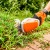 Аккумуляторные ножницы для кустарников Stihl HSA 26 SET c АКБ AS2 и ЗУ AL1 в Костроме