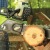Аккумуляторная пила GreenWorks G-Max GD40CS40 40V-16 (без аккумулятора и зарядного устройства) в Костроме