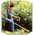 Бензокоса (бензиновый триммер) Stihl FS 55 C в Костроме