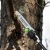 Высоторез аккумуляторный GreenWorks PS102T (без аккумулятора и зарядного устройства) в Костроме