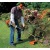 Бензокоса (бензиновый триммер) Stihl FS 38 с дополнительной шпулей в Костроме