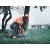Бензопила Husqvarna 565-18" в Костроме