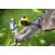 Высоторез аккумуляторный Karcher PSW 18-20 (без аккумулятора и зарядного устройства) в Костроме