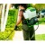 Аккумуляторный опрыскиватель GreenWorks GW-BPS60 (без аккумулятора и зарядного устройства) в Костроме