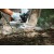 Бензопила Stihl MS 194 T 12" в Костроме