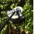 Аккумуляторный триммер DEKO DKTR40V PRO в Костроме