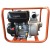 Бензиновая мотопомпа EVOline WG 20 в Костроме