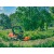 Садовый райдер Husqvarna P525DX с кабиной в Костроме