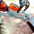 Аккумуляторная пила Stihl MSA 140 C-BQ-12 в Костроме