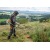 Бензокоса (бензиновый триммер) Stihl FS 235 в Костроме