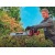 Аккумуляторный кусторез Einhell PXC GE-CH 36/62 Li-Solo (без аккумулятора и зарядного устройства) в Костроме