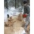 Бензопила Stihl MS 230 CB-E-16 в Костроме