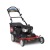 Газонокосилка бензиновая Toro 20199 в Костроме