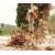 Воздуходувка бензиновая Stihl BG 56 в Костроме