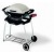 Газовый гриль Weber® Q™ в Костроме
