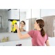 Стеклоочиститель Karcher WV 5 Premium в Костроме